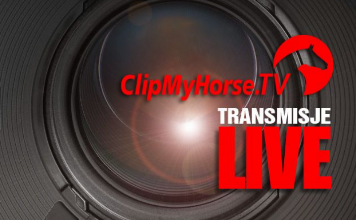 Oglądaj konkurs Złotej Rundy transmitowany przez Świat Koni 